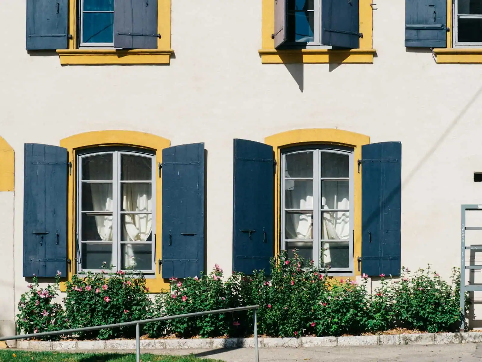 Jolies fenêtres avec volets bleus et encadrements jaunes sur une façade blanche, entourées de roses, illustrant harmonie et sécurité pour la maison.