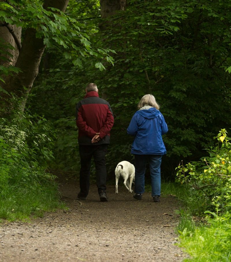 Prévoyance professionnelle (LPP)